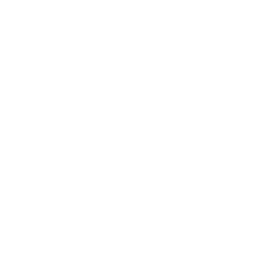 Accounting Report